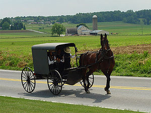 300px-Lancaster_County_Amish_03
